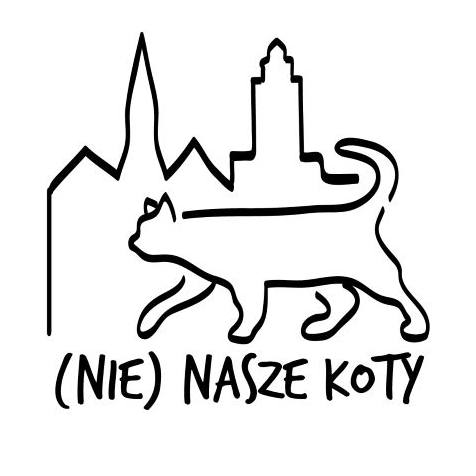 Grafika (NIE) NASZE KOTY